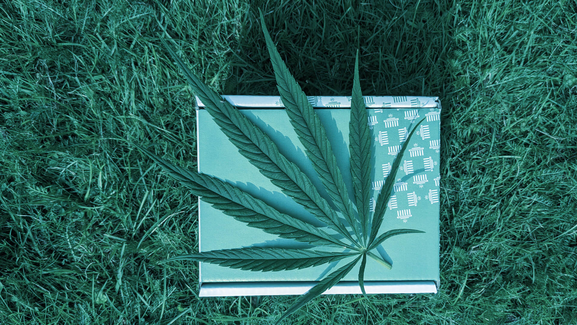 Marijuana leaf on subscription box to indicate selling CBD online